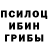 Псилоцибиновые грибы Psilocybe Alisia Danielyan