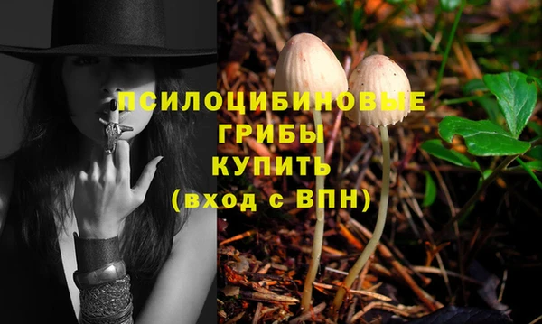МДПВ Белокуриха
